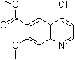 Alternate Text