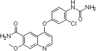 Alternate Text